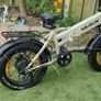 Electric Bike Image 6