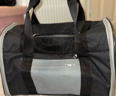 Pet Backpack