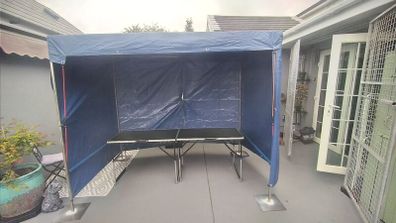 Canopy & Box Iron Frame