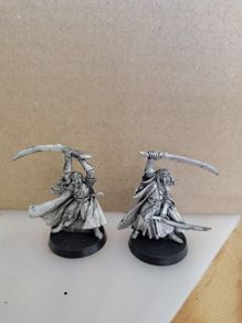 Elladan and Elrohir Lotr