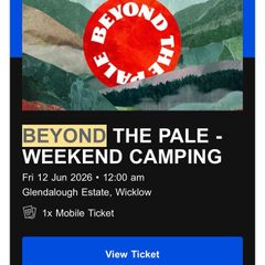 Beyond the Pale x 1 ticket - festival