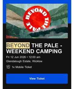 Beyond the Pale x 1 ticket - festival