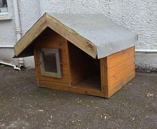 Dog House