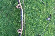 nissan micra k10 axle