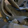 Baby carrier Image 6