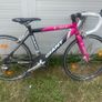 Giant racer bike Image 2