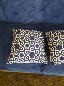 Navy and White Cushions
