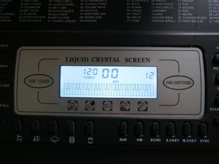 Electronic Keyboard - SK-560 54 Key Keyboard, and keyboard stand