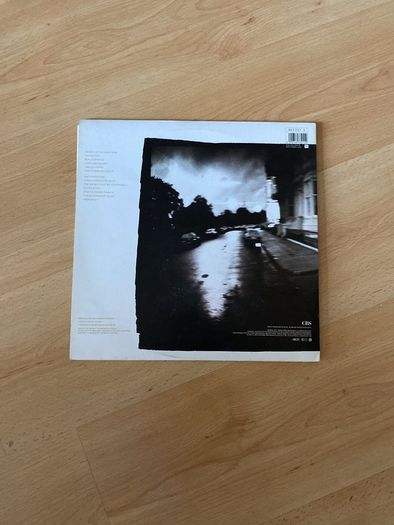 vinyl / record  / album