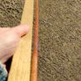 Vintage mounted Cello bow on gilded board Image 7