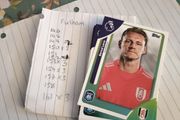 Fulham premier League cards