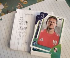 Fulham premier League cards