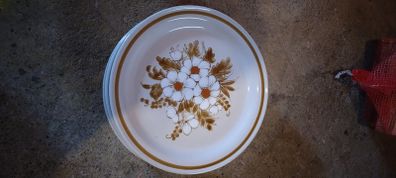 Plates (set of 8)
