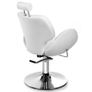 Professional Hydraulic Reclining Beauty / Salon Treatment Chair Image 5