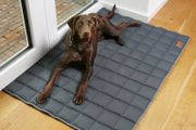 Dog Mat 120 x 80 cm Dog Blanket, OEKO-TEX Cotton, soft, robust, washable