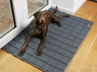 main image for ad Dog Mat 120 x 80 cm Dog Blanket, OEKO-TEX Cotton, soft, robust, washable