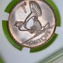 Proof 1928 1d PENNY Freestate High grade Registered post included Read description Image 3
