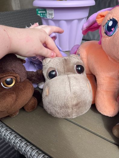 teddies