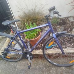 Trek bicycle