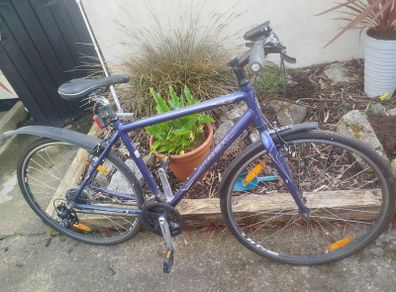 Trek bicycle