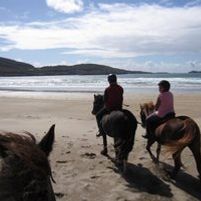 Eagle rock Equestrian Centre Jobs in Ireland