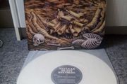 MORTIFICATION Scrolls of the megilloth 1st press 1992 LP RARE