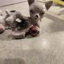 Rare find  VINTAGE PORCELAIN MARKED foreign 2 Cat Figurine.Cats Playing With Ball Figurine Image 5