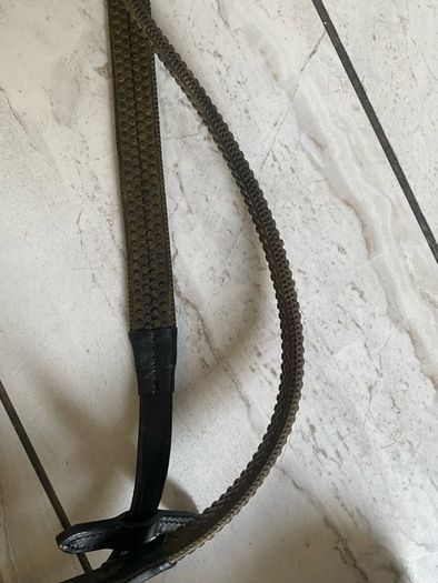 horse bridle