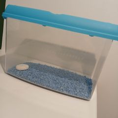 Fish tank