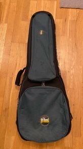 Electric Guitar Gig Bag