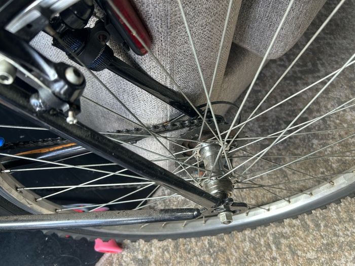 Adult Mountain Bike
