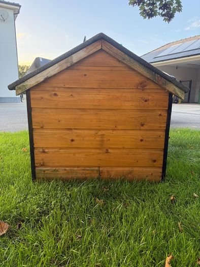 Dog House