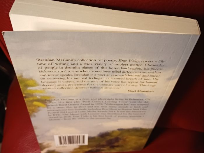 Erne Valley / Brendan McCann / 2017/ Signed