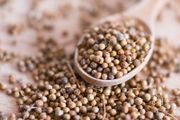 Coriander Seeds