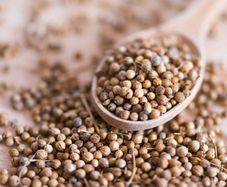 Coriander Seeds
