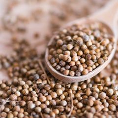 Coriander Seeds