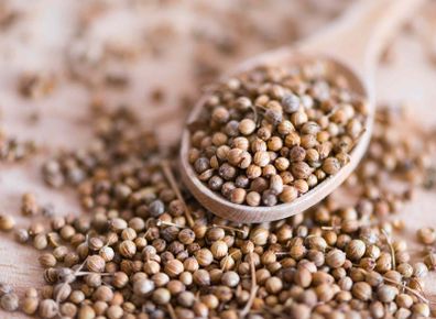 Coriander Seeds