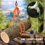 Timber Claw Hook, 28 inch 4 Claw Log Grapple for Logging Tongs, Swivel Steel Log Lifting Tongs, Eagle Claws Design with 2205 lbs/1000 kg Loading Capacity Image 4