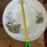 Arklow Pottery Tally Ho pattern plates /bowls Image 4