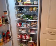 Bosch free standing fridge