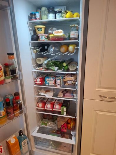 Bosch free standing fridge
