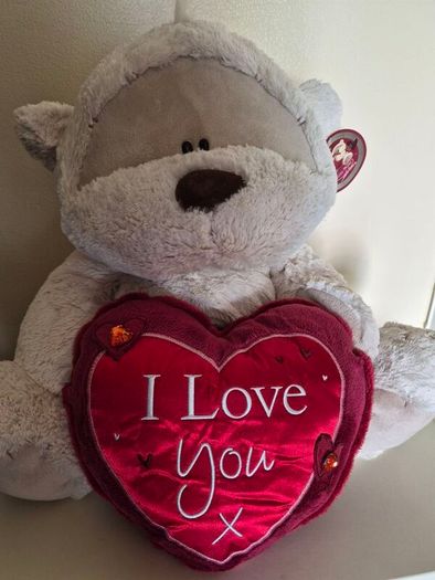 large teddy