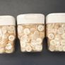 Pearly White Buttons - Approx 300 Buttons per Container Image 4