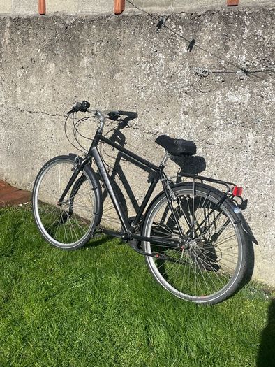 Rayleigh pioneer 1 dark grey bike