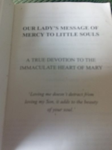 Our Ladys Message Of Mercy To The World