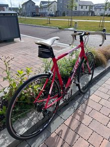 Giant Road Bike - Excellent Condition, Well Maintained