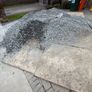 hardcore stone Image 2