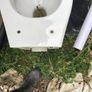 Toilet Image 3