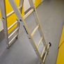 youngman stepladder Image 2