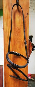 Bridle Headstall with Flash Noseband